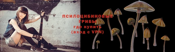 первитин Алексеевка