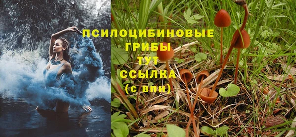 первитин Алексеевка