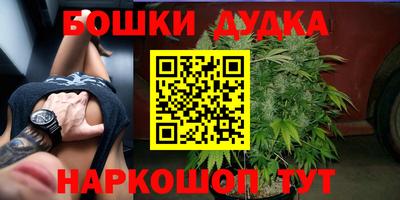 PSILOCYBIN Балахна