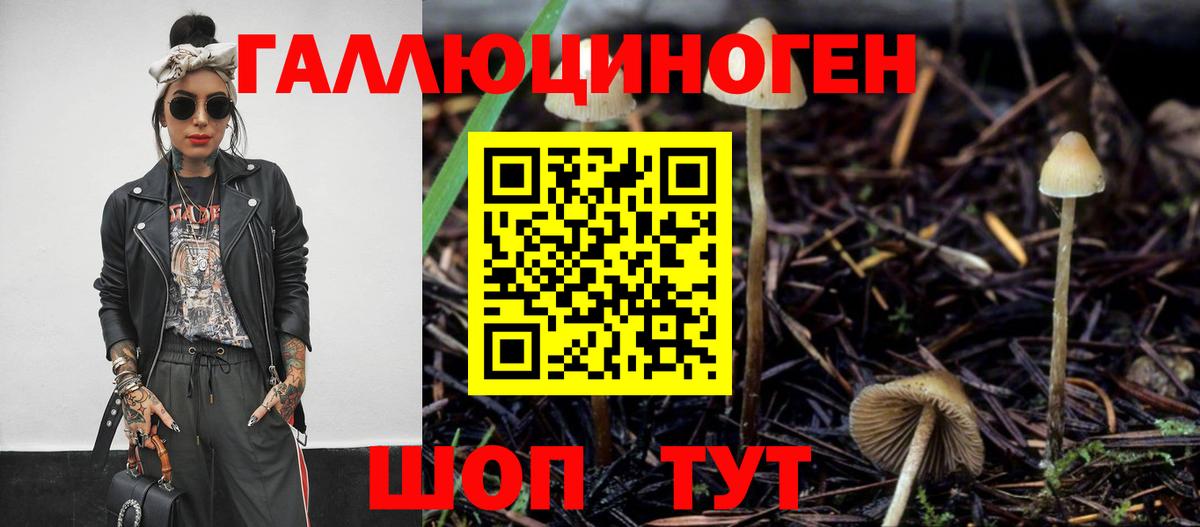 Десногорск  Галлюциногенные грибы MAGIC MUSHROOMS  Вход с VPN 